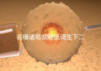 名模諸葛紫岐低調(diào)生下二胎，孕7個月肚子扁平成焦點