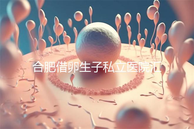 合肥借卵生子私立醫(yī)院匯總，2024哪家排名好一覽了然