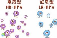 合肥做試管嬰兒要花多少錢？進周期前這些注意事項都來看看