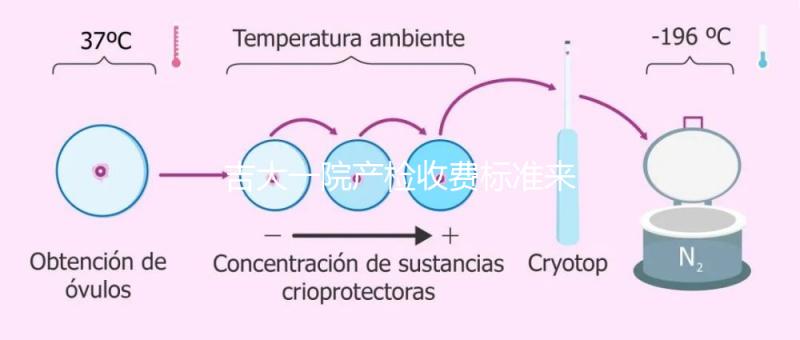 吉大一院產檢收費標準來了！免費項目和報銷比例一文說明