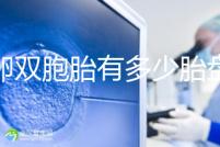 同卵雙胞胎有多少胎盤?1個(gè)or2個(gè)當(dāng)場(chǎng)講給你聽