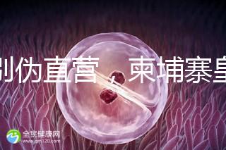 告別偽直營(yíng),柬埔寨皇家生殖遺傳醫(yī)院RFG中國(guó)辦事處指南