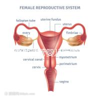 國內(nèi)做試管嬰兒醫(yī)院有哪些?附全國十大試管醫(yī)院排名