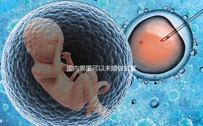 國內(nèi)哪里可以未婚做試管嬰兒 不用結(jié)婚證試管的機(jī)構(gòu)哪里有