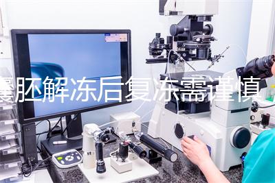 囊胚解凍后復(fù)凍需謹(jǐn)慎,這些對(duì)胚胎質(zhì)量的影響不可不知