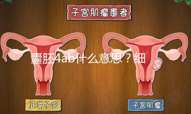 囊胚4ab什么意思？細說移植成功率