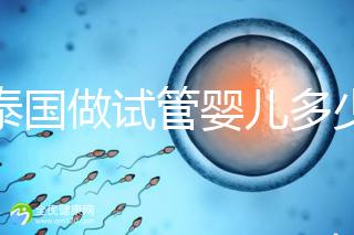 在泰國做試管嬰兒多少錢（在泰國做試管嬰兒多少錢？）