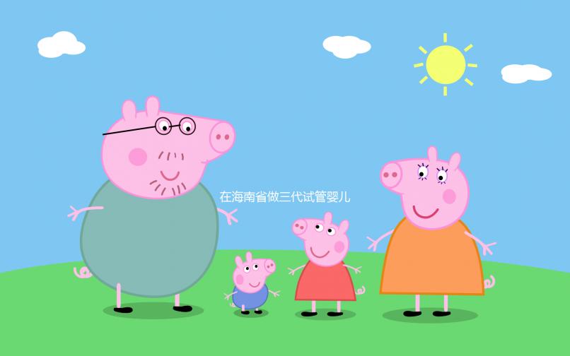 在海南省做三代試管嬰兒一般要花費多少，全面介紹費用項目與相關要素