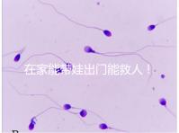 在家能帶娃出門能救人!張云鵬醫生為救人將孩子塞路人