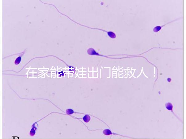 在家能帶娃出門能救人！張云鵬醫生為救人將孩子塞路人