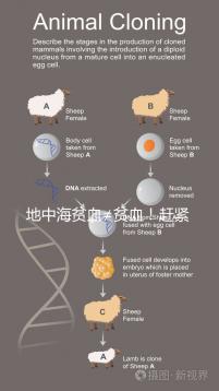 地中海貧血≠貧血！趕緊來(lái)看看地貧和貧血有什么區(qū)別