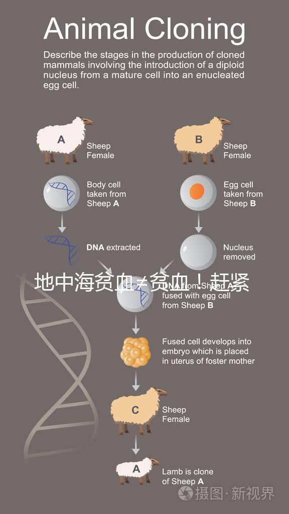 地中海貧血≠貧血!趕緊來看看地貧和貧血有什么區別