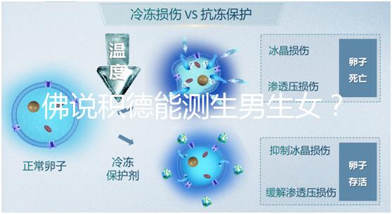 佛說(shuō)積德能測(cè)生男生女？60秒說(shuō)清楚胎兒性別是否天注定