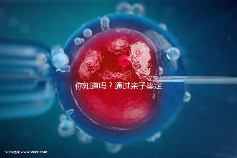 你知道嗎?通過親子鑒定補辦出生證也能給寶寶上戶口