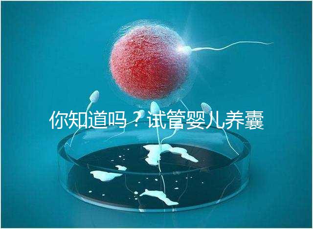 你知道嗎?試管嬰兒養囊的過程比“高考”更殘酷