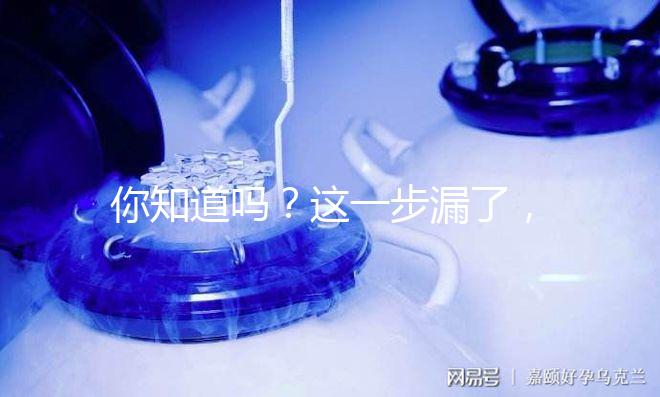 你知道嗎？這一步漏了，赴美國做試管嬰兒有簽證也走不了