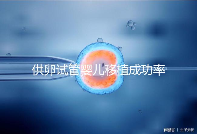 供卵試管嬰兒移植成功率高，一次就能成？很多人都被坑過