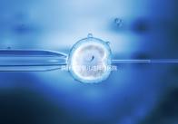 供卵試管嬰兒選擇好醫(yī)院是關(guān)鍵，泰國(guó)好的生殖中心有這些