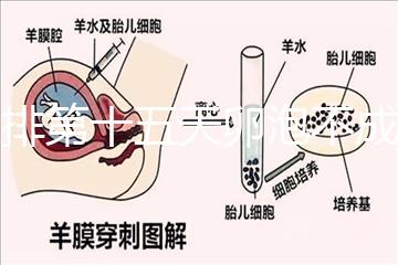 促排第十五天卵泡不成熟還可以治療！1.2等幾天就能長大