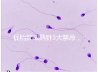 促胎肺成熟針3大禁忌，這份使用前注意事項(xiàng)請(qǐng)查收