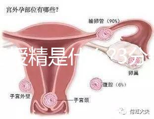 人工授精是什么?3分鐘讀完這篇文章，解答你所有疑問