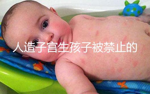 人造子宮生孩子被禁止的原因有三，會不會被允許未成定論