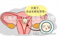 云南第三代試管嬰兒的費(fèi)用是多少?如何選擇可靠的醫(yī)院?這篇文章的策略已經(jīng)為你做好了