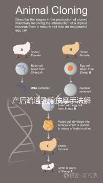 產后疏通乳腺按摩手法解密，不用吸奶器輕松搞定堵奶、奶結