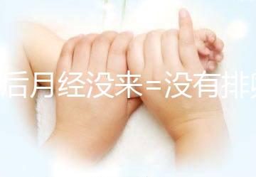 產后月經沒來=沒有排卵=不會懷孕？想得美！