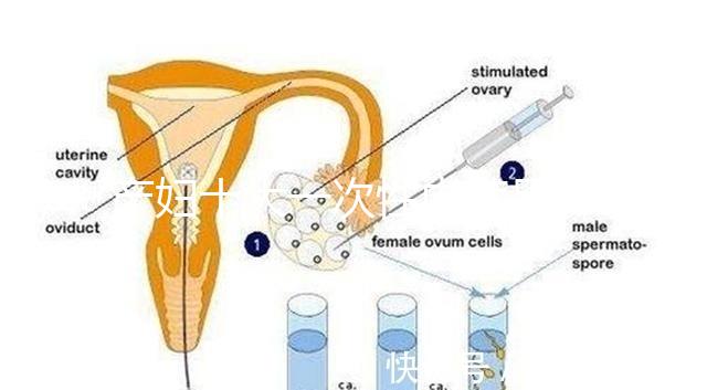 產(chǎn)婦十大一次性?xún)?nèi)褲品牌排行揭曉,全棉時(shí)代質(zhì)量如何看這