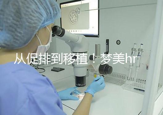 從促排到移植！夢美hrc試管嬰兒流程共7步