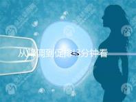 從降調(diào)到促排!3分鐘看完試管嬰兒長方案流程步驟