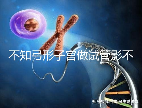 不知弓形子宮做試管影不影響移植速覽，有多危險趁早了解