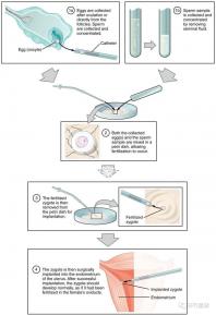 不知?dú)J州哪家男科醫(yī)院好戳,機(jī)構(gòu)能不能一目了然