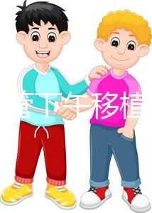 不懂試管下午移植上午要不要請假速覽，何時開始一看便知