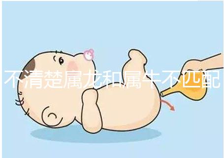 不清楚屬龍和屬牛不匹配戳,再一起看財運(yùn)就夠了