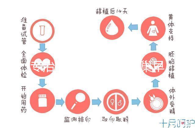 專治停經(jīng)、絕經(jīng)、卵巢早衰？利維愛(ài)的作用與適應(yīng)癥分析