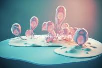 一篇告知只有一個凍胚能否移植，機會有多大做之前都看看