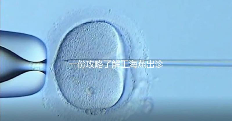 一份攻略了解王海燕出診表，讓你在北醫三院掛號更簡單