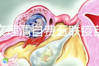 一文理清自費五聯(lián)疫苗接種必要性，新生兒打有這些好處