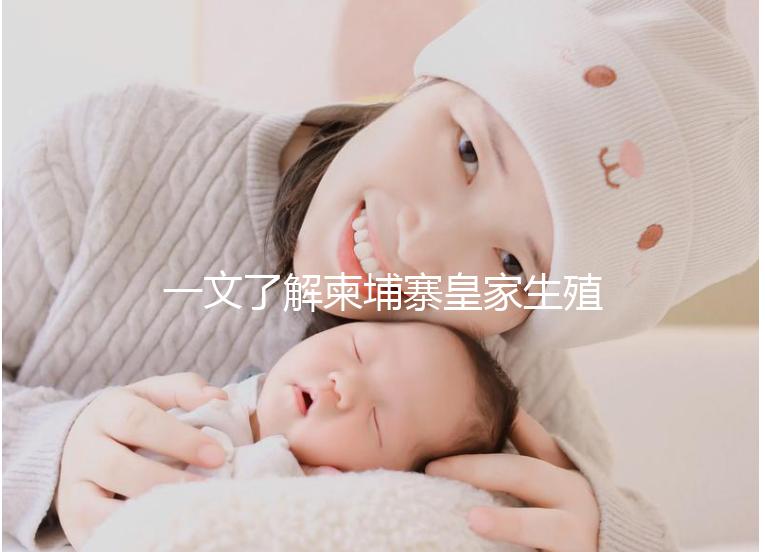 一文了解柬埔寨皇家生殖醫院:RFG名醫白方敏篇