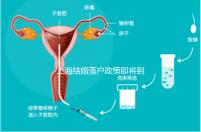 上海結婚落戶政策即將到來,包括2024年黃浦區詳細的戶籍流程