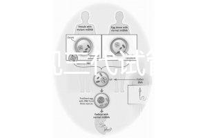 中國正規三代試管嬰兒機構名單，2025生殖機構排名參考