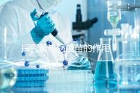 探究黃熱病疫苗的作用，去非洲、南美洲國家接種很有必要