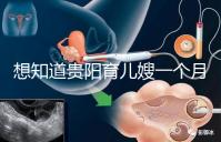 想知道貴陽育兒嫂一個月戳多少錢,云巖2萬夠不夠