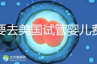 想要去美國(guó)試管嬰兒費(fèi)用要花多少錢?2025年費(fèi)用明細(xì)!