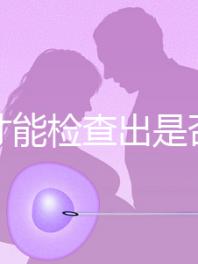 怎樣才能檢查出是否懷孕？