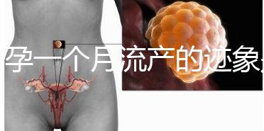 懷孕一個(gè)月流產(chǎn)的跡象是什么？