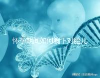 懷孕期間如何躺下對(duì)胎兒發(fā)育有好處?產(chǎn)科醫(yī)生:最好不要躺在右邊,這會(huì)嚴(yán)重影響胎兒的發(fā)育