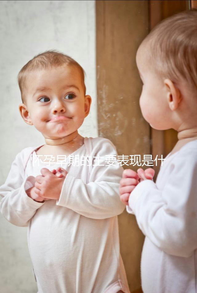 懷孕早期的主要表現是什么？